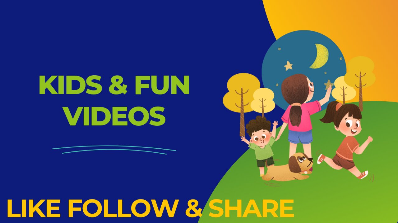 Dog , cat funny animal videos