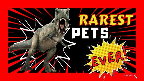 🦖🦕Rarest Pets Ever, Dinosaurs: The World's Largest Pets🦖🦕