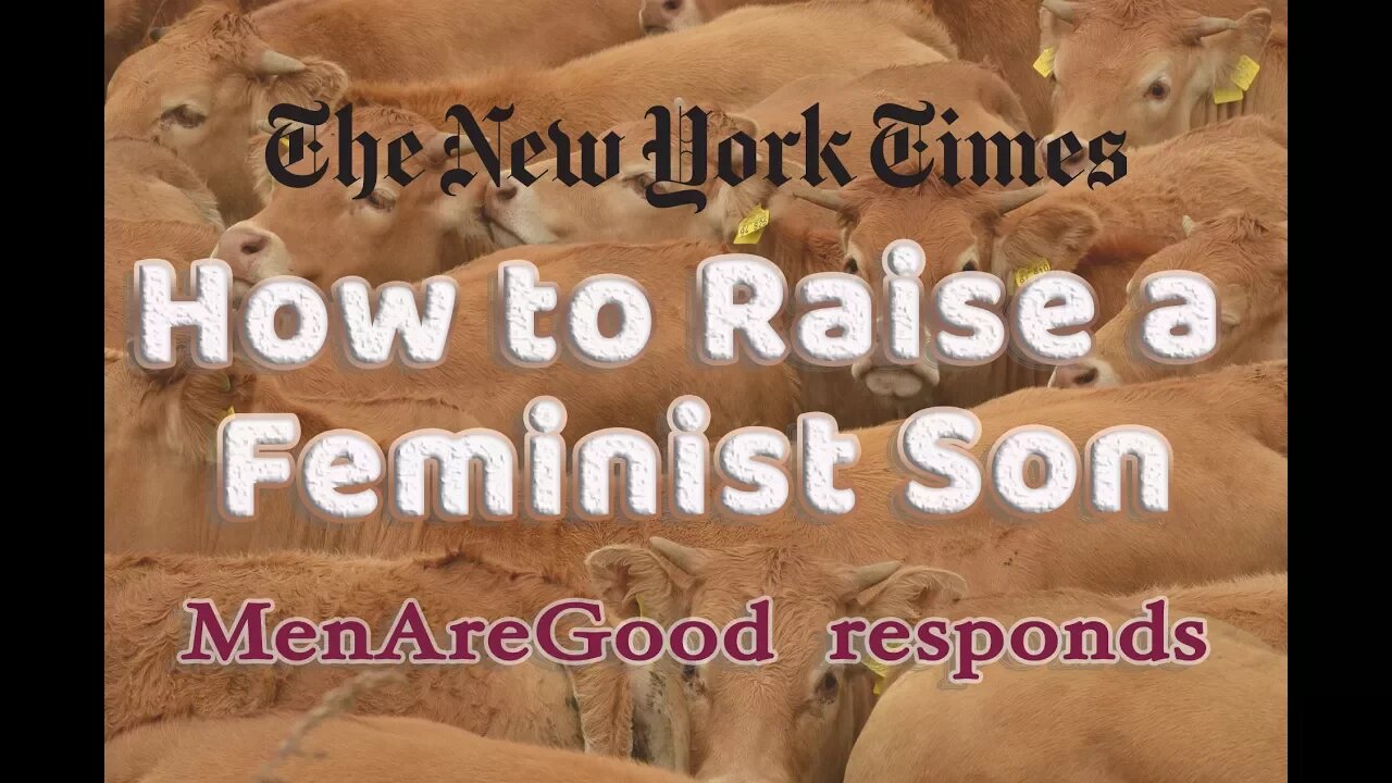 NYT's How to Raise A Feminist Son - Tom Golden of MenAreGood Responds