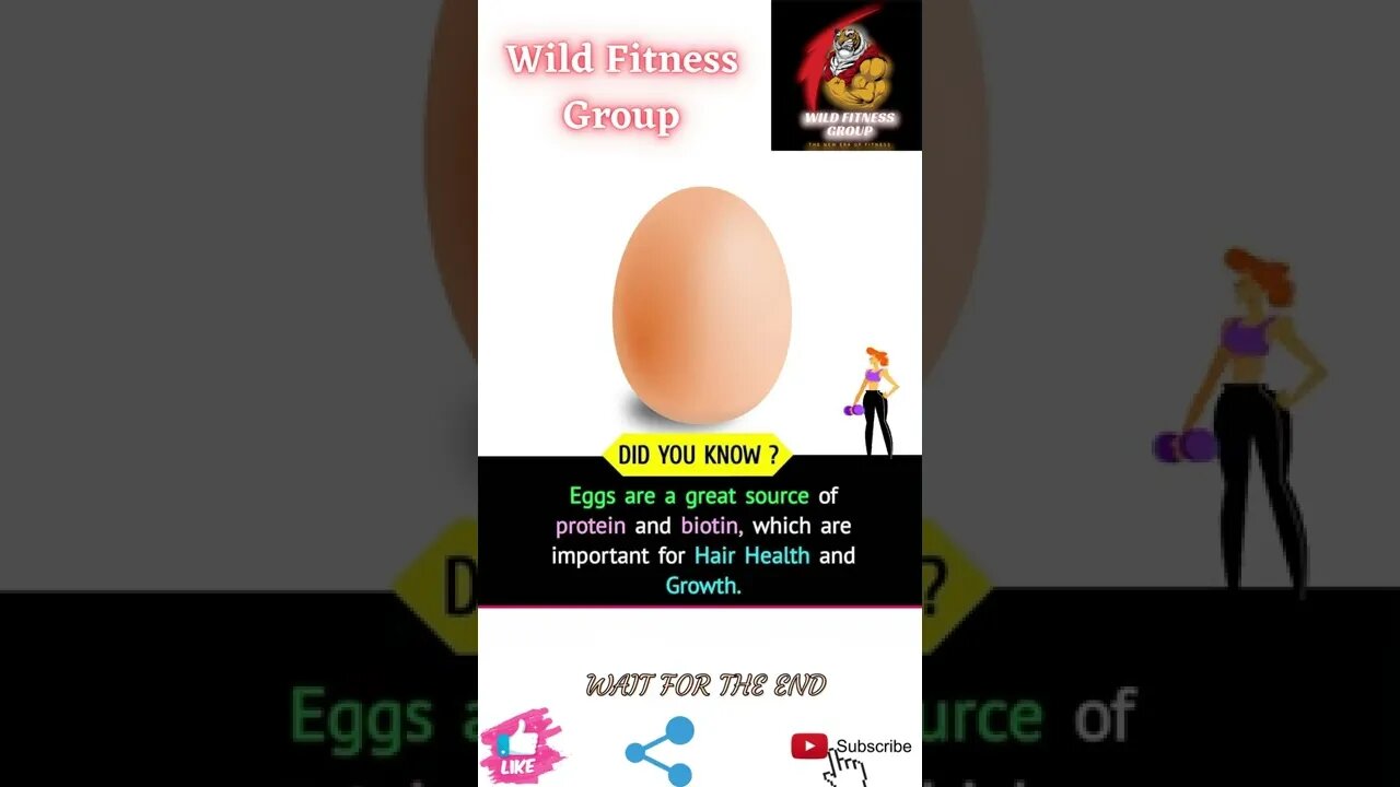 🔥Benefit of eggs🔥#shorts🔥#wildfitnessgroup🔥4 June 2022🔥