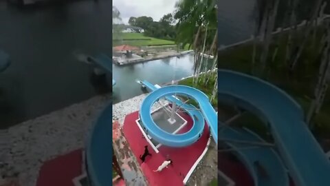 The good boy doesn't leave her alone. 💕😂😂