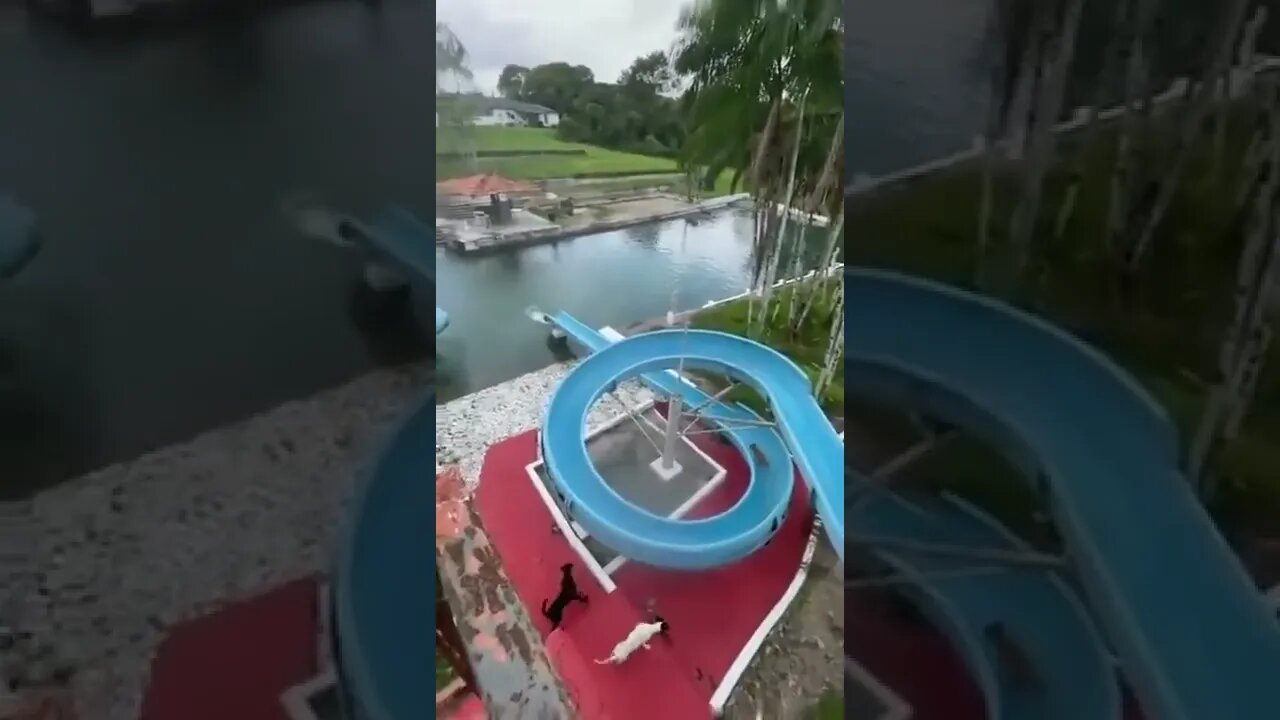 The good boy doesn't leave her alone. 💕😂😂