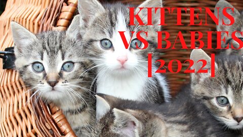 KITTENS VS BABIES [2022]