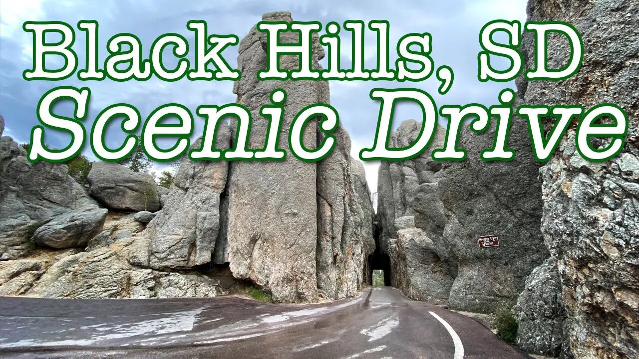 Scenic Drive in the Black Hills