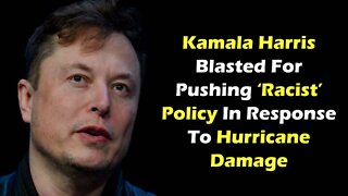 Elon Musk Slams Kamala Harris For Racial Remarks About Distributing Disaster Assistance