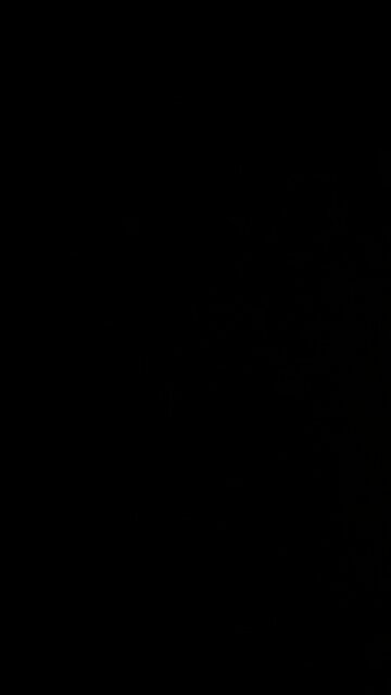 Aaron judge’s home run