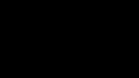 Aaron judge’s home run