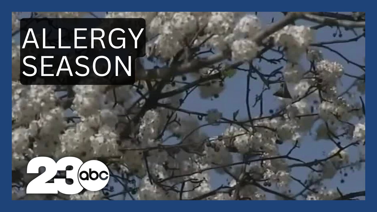 How will allergy season affect Kern County?