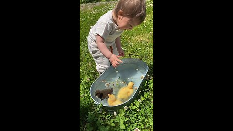 cute baby smiling and laughing playing with bird 🕊️😀😀