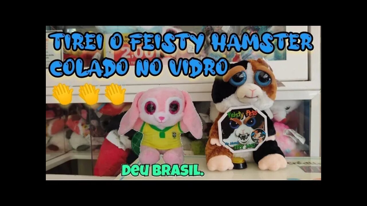 TIREI O FEISTY PETS HAMISTER COLADO NO VIDRO 😱😱😱