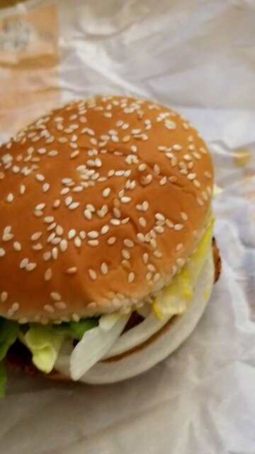 Hamburger, Chicken Sandwich & Fries