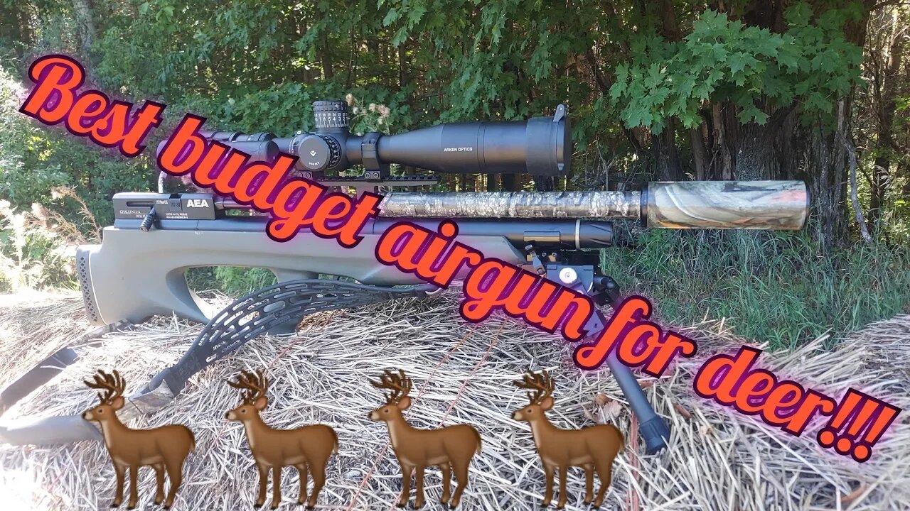 BEST BUDGET AIRGUN FOR DEER!!!