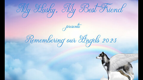 My Husky, My Best Friend - Year End Angels 2023