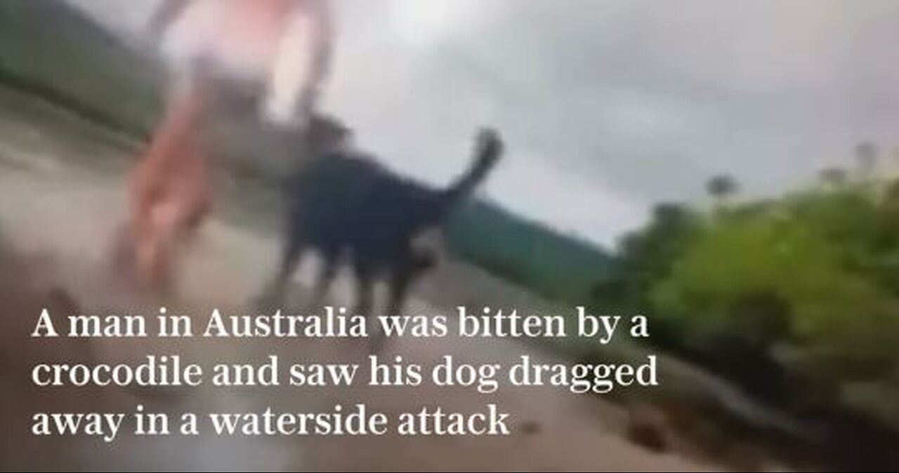 🐊 Crocodile Devours Dog & Mauls Man in Shocking Australia Attack! 😱