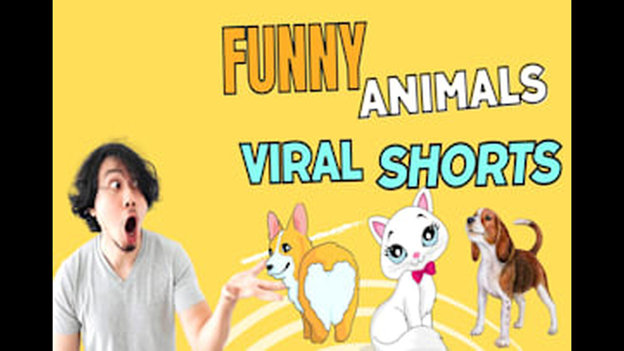 Funny animal comedy movie