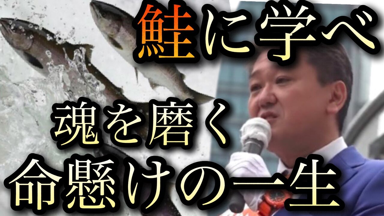 【神回】鮭に学べ!魂を成長させる鮭の一生