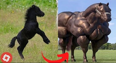 Animals Grow Up - I'm a Big Kid Now From Baby Animals To Adult Animals