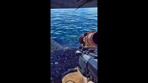 Brilliant deception, Tarkov fishing