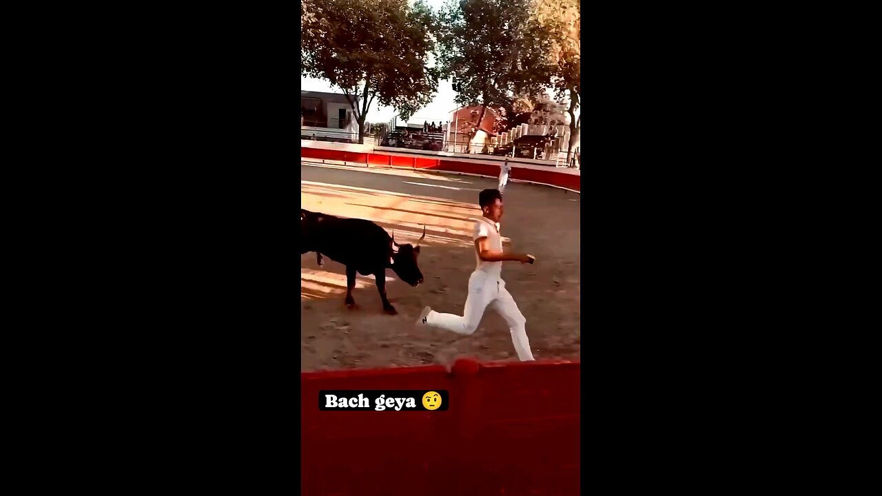 Funny reel