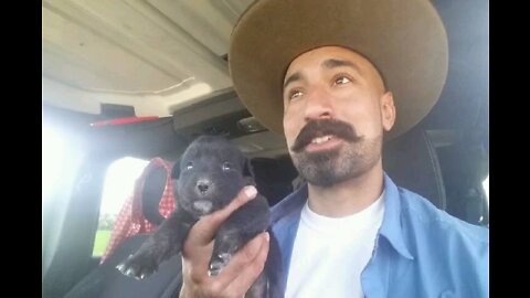 Puppies and Enlightenment!