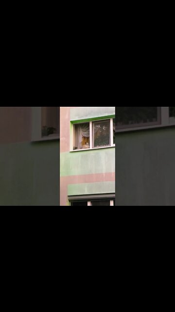 Shabbat Shalom 🙏🙌💛🤗🔯🌹🌺