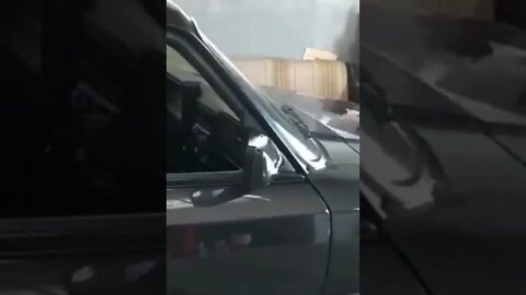 PARA QUEM CURTE UMA BARCA , A VERDADEIRA HISTORIA DA OPALA ( MEME ) ( VIRAL ) #shorts