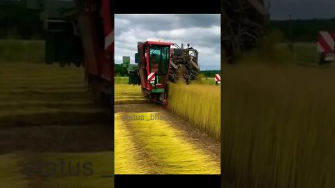 satisfying video part-2 #status_bhai_ #satisfyingvideo #shorts #trending #satisfying #😀