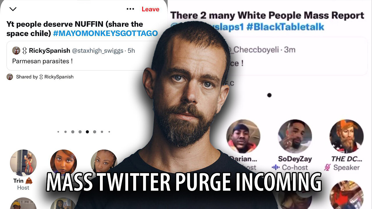 Mass Twitter Purge Incoming as Jack Dorsey is REPLACED by New Anti White CEO