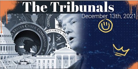 (PHIL GODLEWSKI) THE TRIBUNALS.