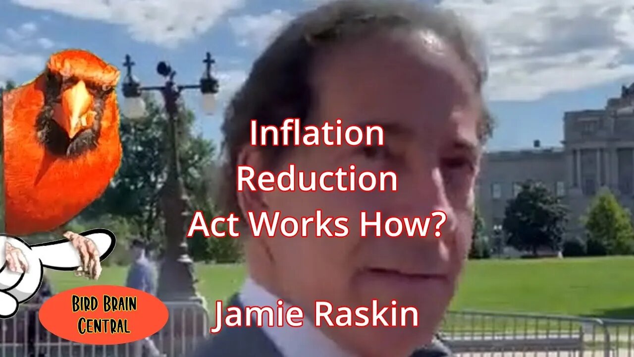 Jamie Raskin is asked which parts of the Inflation Reduction act brings down inflation?