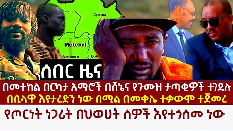 ኦነግ ሸኔና የጉሙዝ ታጣቂዎች በመተከል አማሮችን እየገደሉ ነው! በቢላዋ እየታረድን ነው የሚለው ትግሬና የህወሀት አመራሮች?