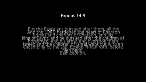 Exodus Chapter 14