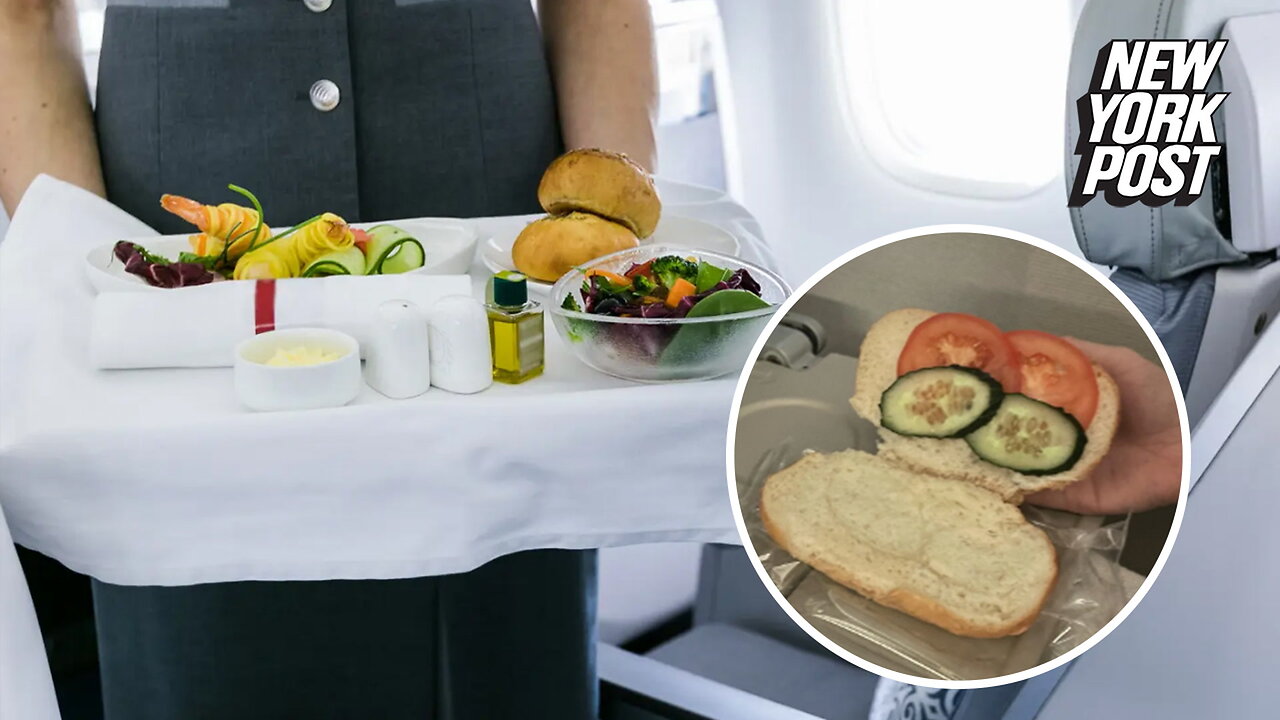 Airline slammed for 'sad' vegetarian meal in viral Reddit post