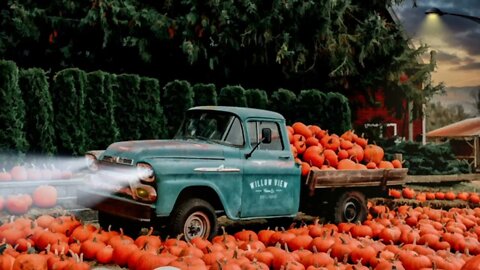 Autumn Pumpkin Farm Ambience /Peaceful Guitar