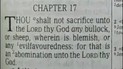 Deuteronomy: Chapters 17-20