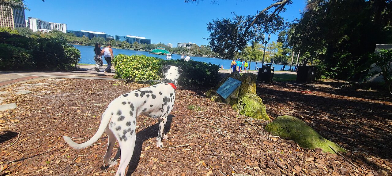 Luna At Eola Park Orlando FL