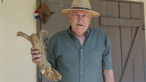 U vrtu ubrao korjen hrena težak 1,4 kilograma