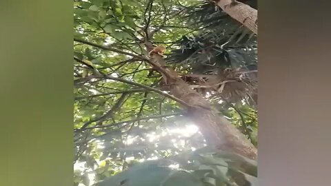 New Funny videos