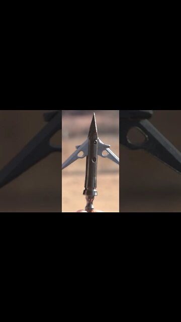 Dull vs Sharp Broadheads #shorts #deer #deerhunting #archery