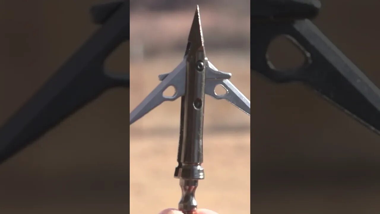 Dull vs Sharp Broadheads #shorts #deer #deerhunting #archery