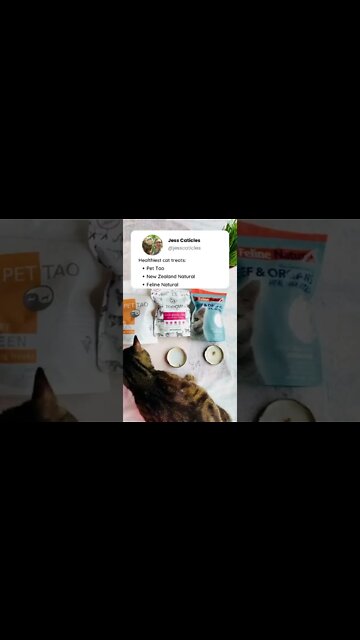 Your cat needs these healthy treats #shorts
