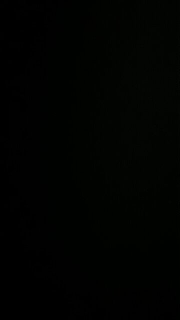 Penile inversion surgery