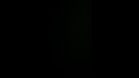 Penile inversion surgery