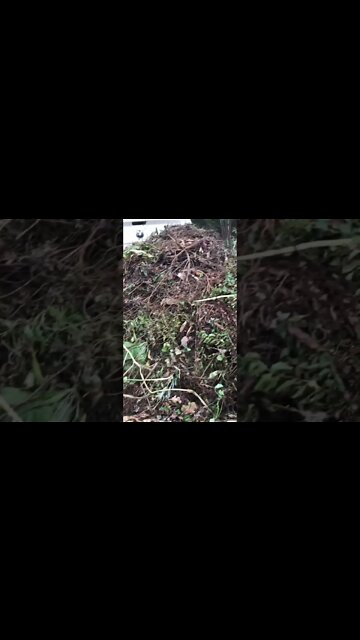 Stop making compost the hard way!