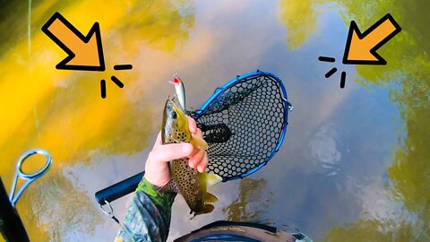 Trout Fishing in Wisconsin at the Eau Galle River