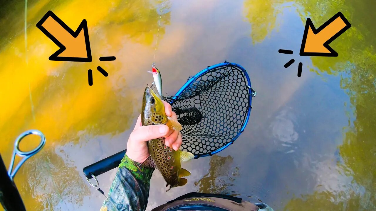 Trout Fishing in Wisconsin at the Eau Galle River