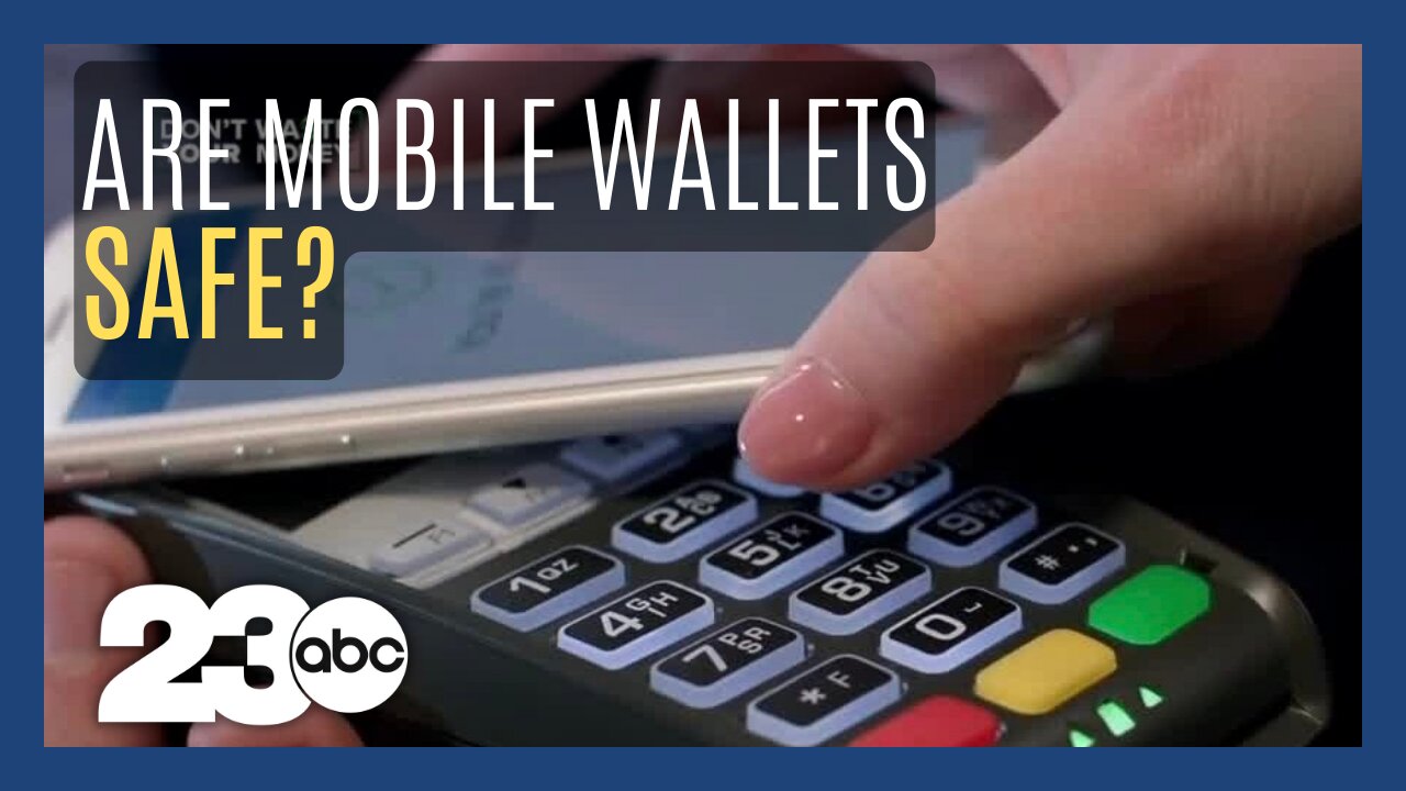 Don't Waste Your Money: Are Mobile Wallets Safe?