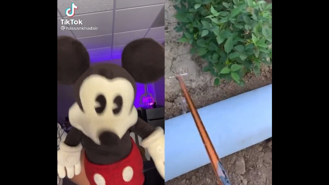 Mickey Mouse Tictok funny reaction .