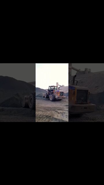 Amazing dump truck loading with a peluder!