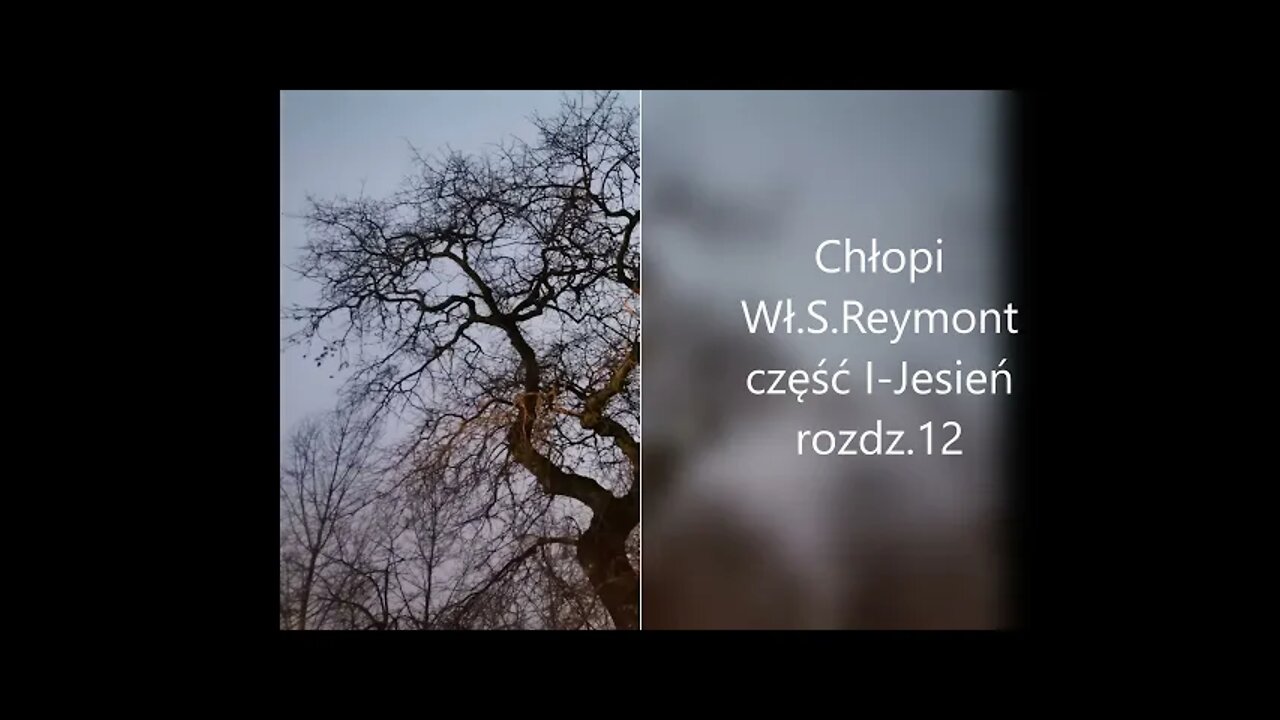 Chłopi -Wł.S.Reymont część I - Jesień rozdz.12